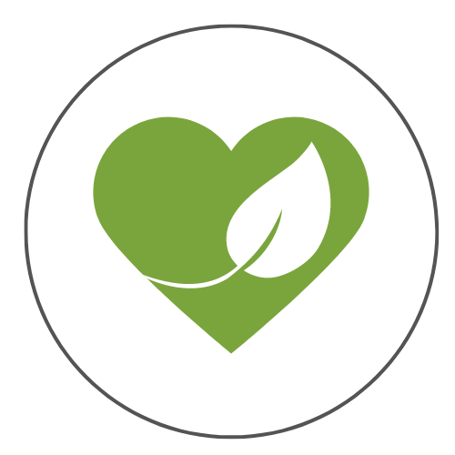 Some of my favourite tools for creating a home that is Safe, Healthy & Empowered – a SHE Home